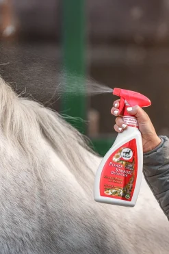 Power Striegel Kamille