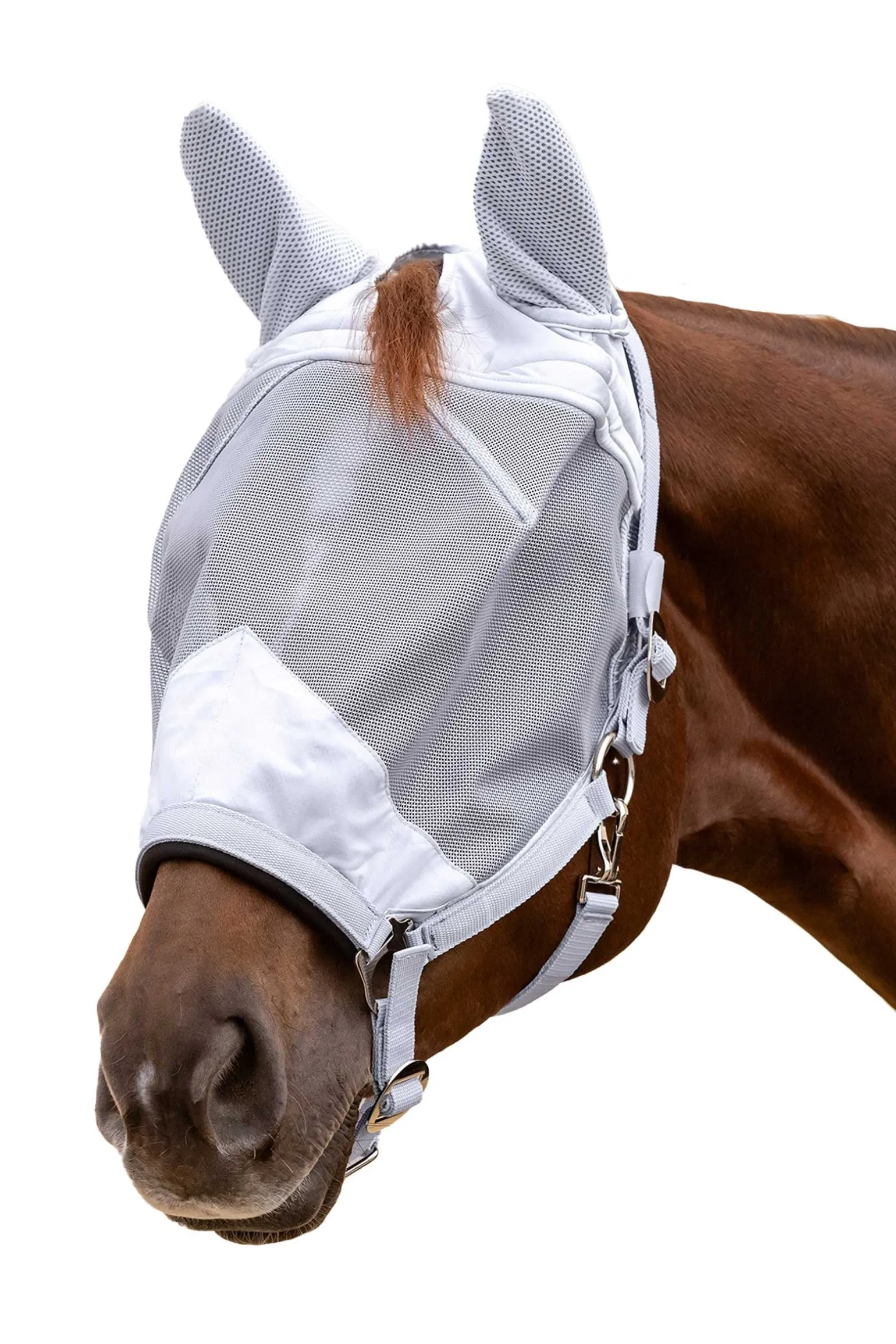 Premium Fliegenmaske mit Halfter