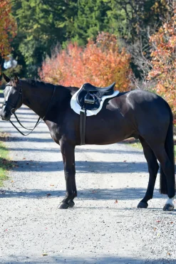 Prime Comfy Fleece Numnah