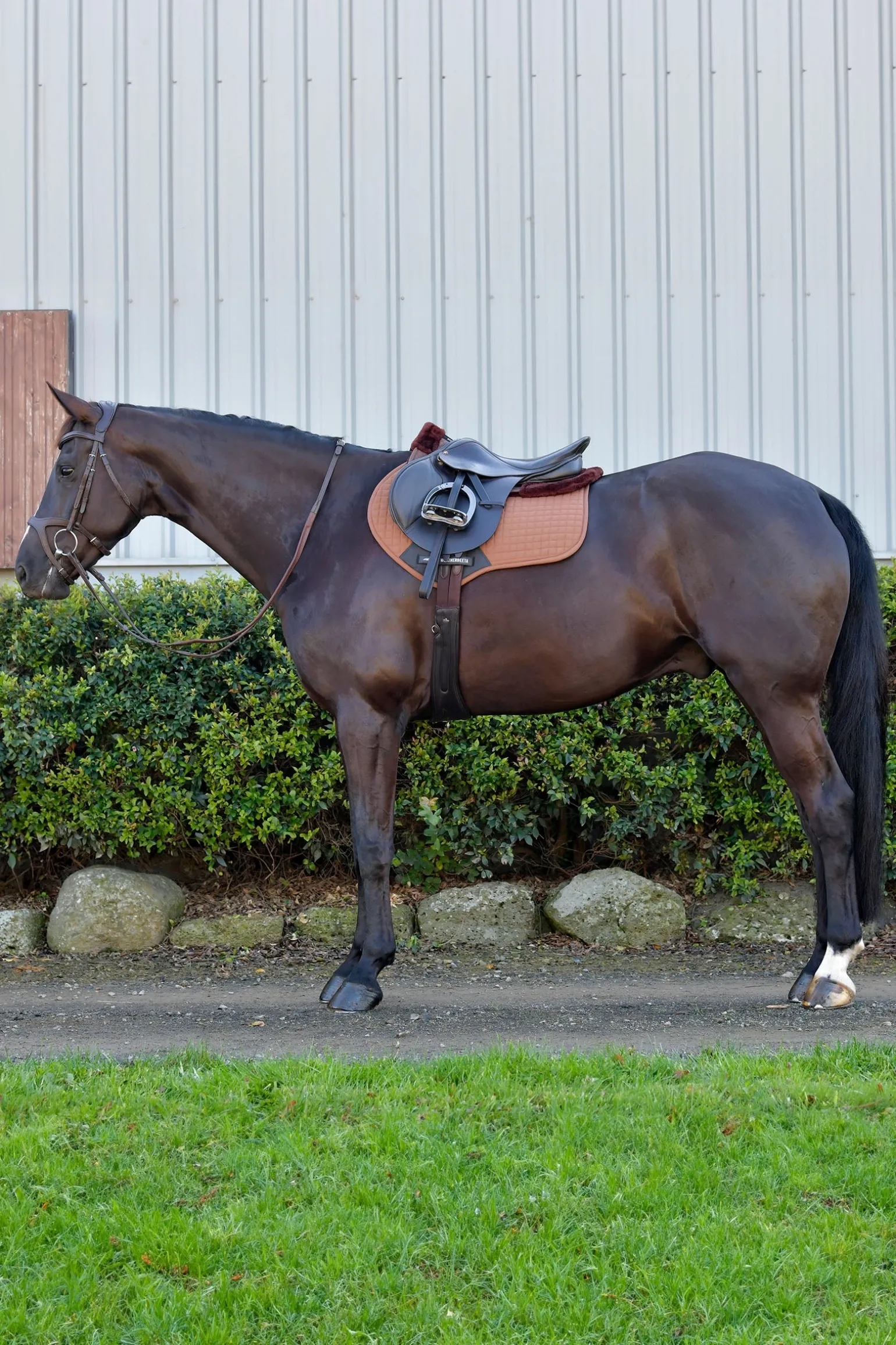 Prime Comfy Fleece Springschabracke