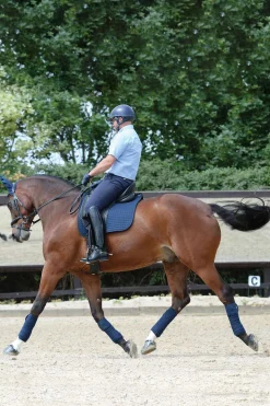 Prime Dressurschabracke