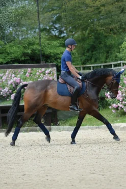 Prime Springschabracke