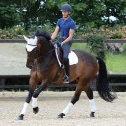 Prime Vielseitigkeitsschabracke