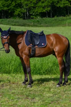 Princeton Dressurschabracke