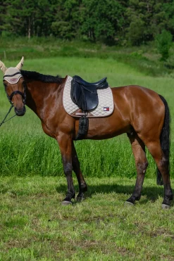 Princeton Dressurschabracke