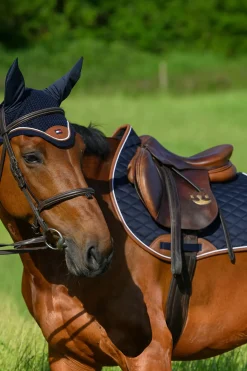 Princeton Fliegenhaube