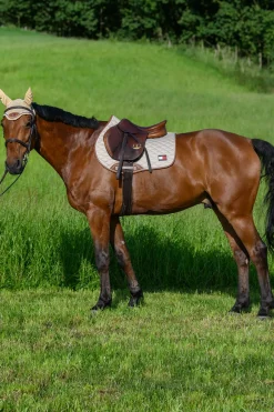 Princeton Springschabracke