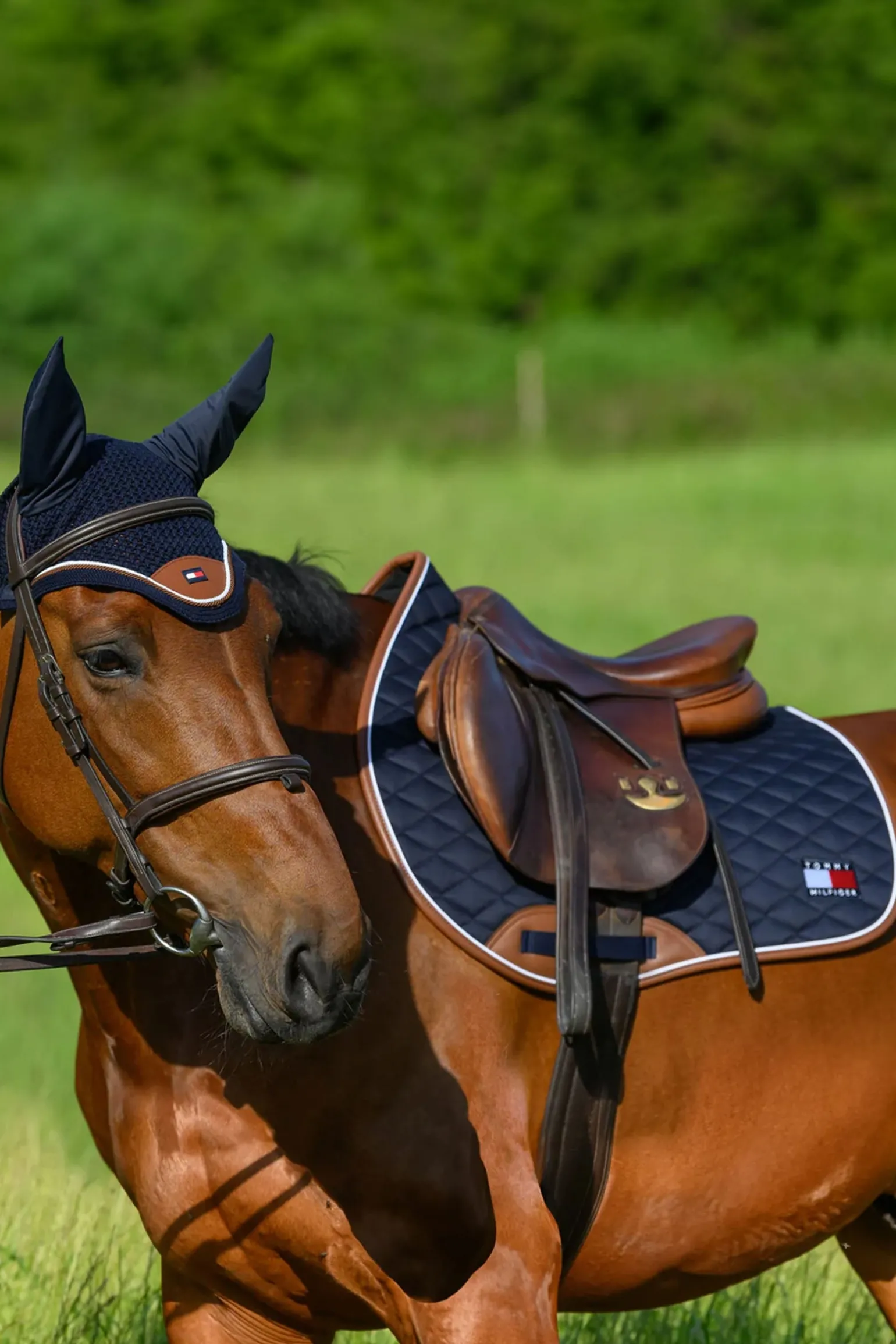 Princeton Springschabracke