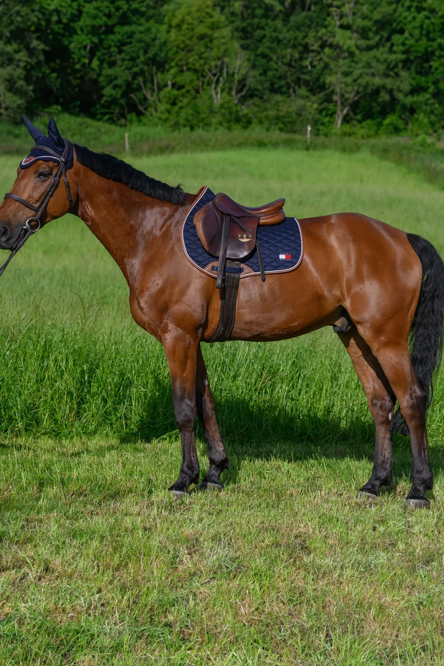 Princeton Springschabracke