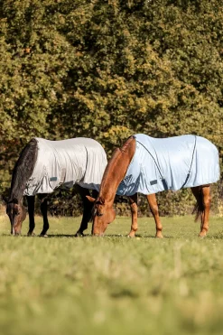 Protect Fliegendecke