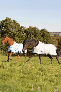 Protect Fliegendecke