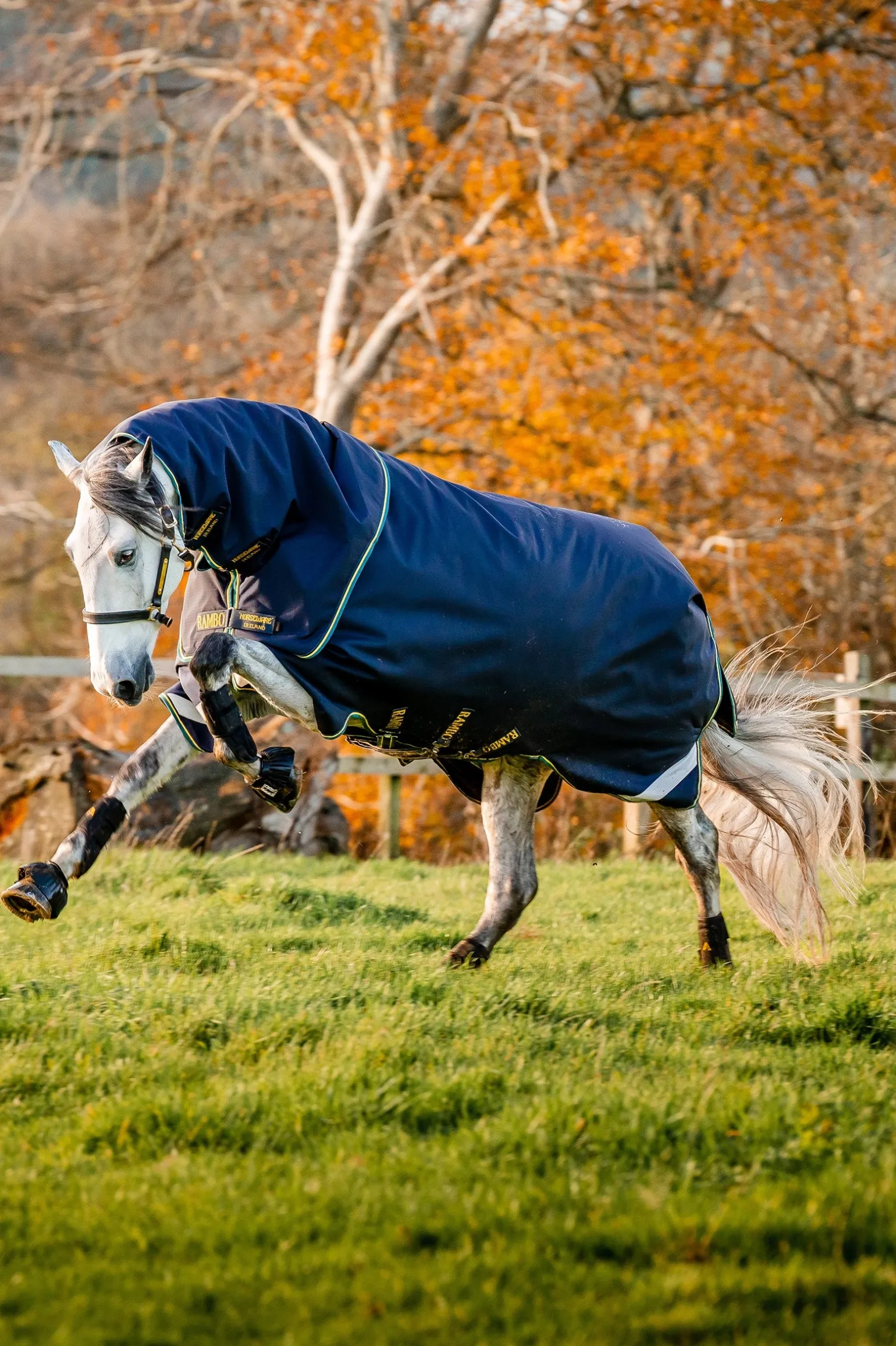 Rambo Duo Force 2.0 Turnout (100g Außendecke mit 100g Liner und 300g Liner)