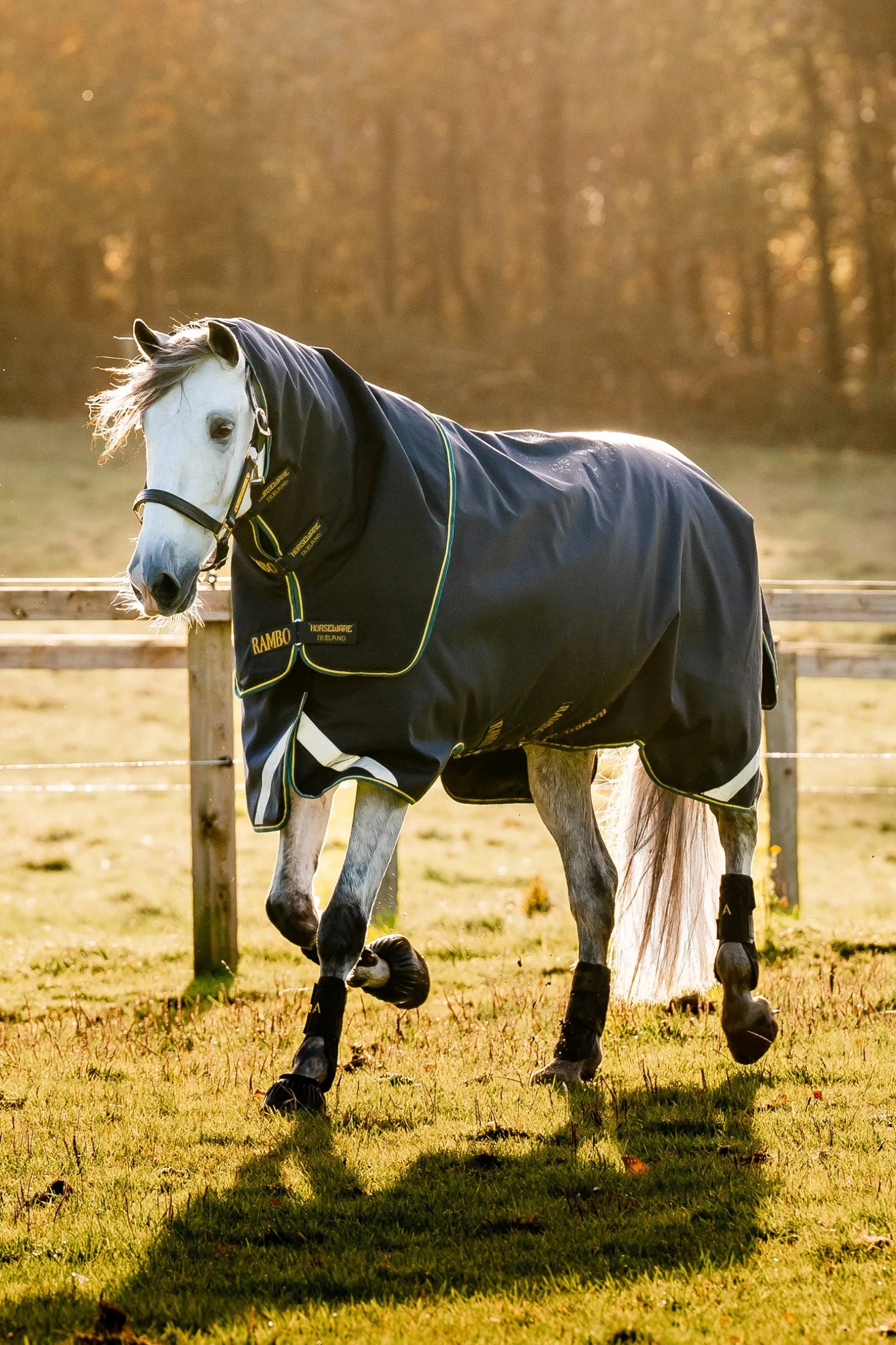 Rambo Duo Force 2.0 Turnout (100g Außendecke mit 100g Liner und 300g Liner)