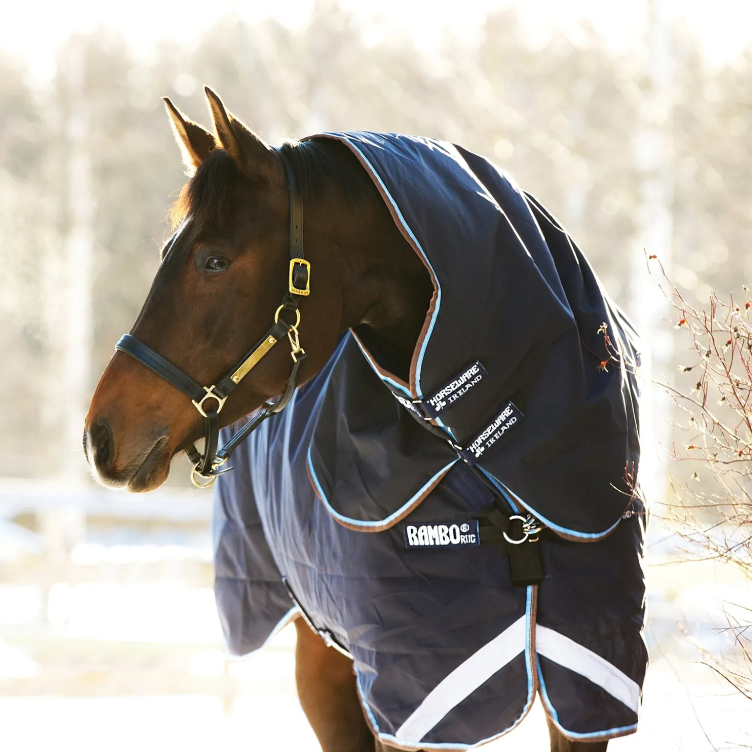 Rambo Duo Weidedecke mit abnehmbarem Halsteil, 100g