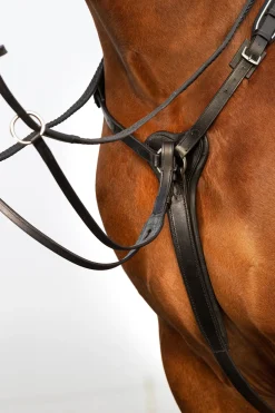 Rambo Micklem Vorderzeug