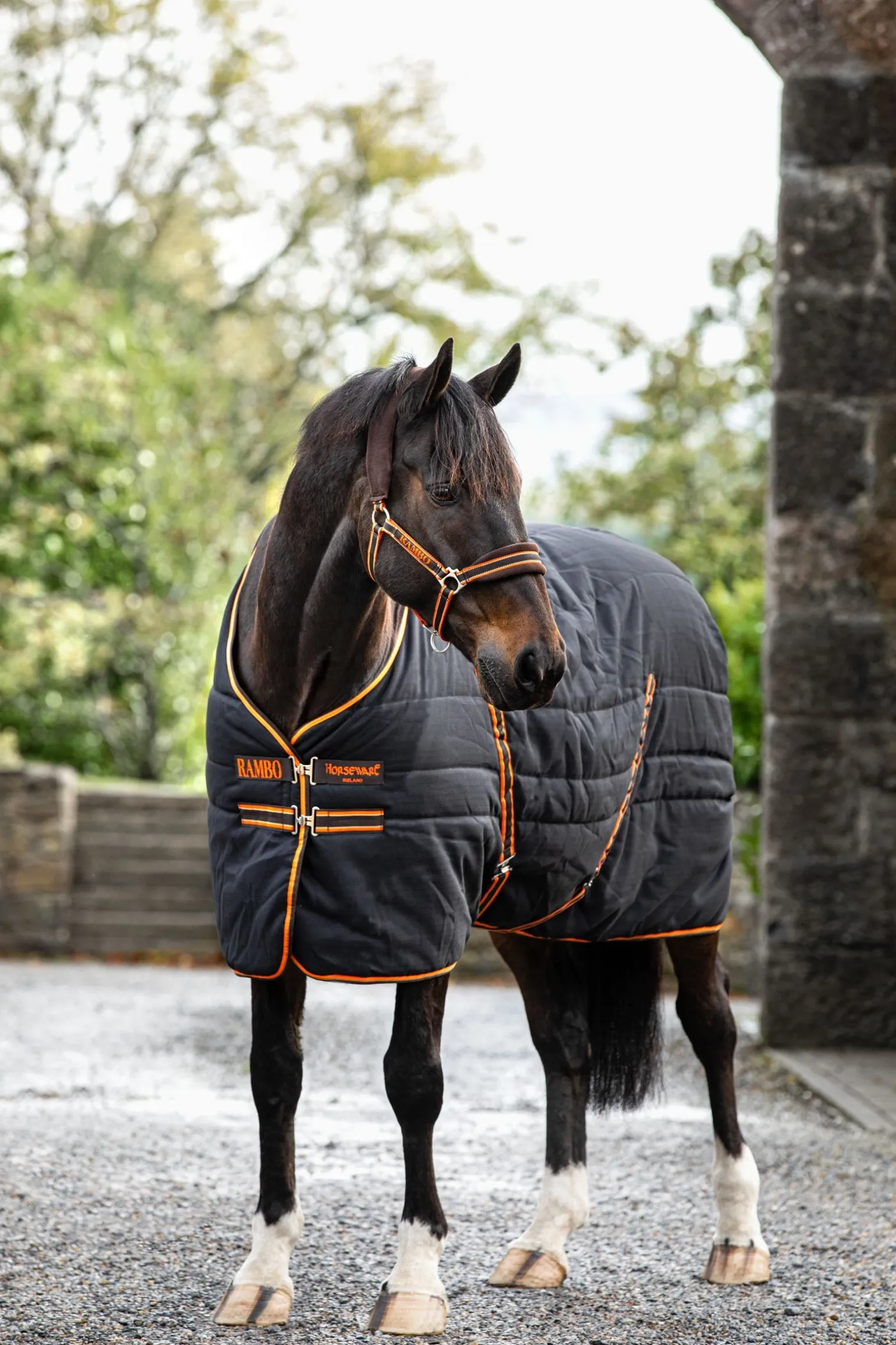 Rambo Stalldecke, 200g