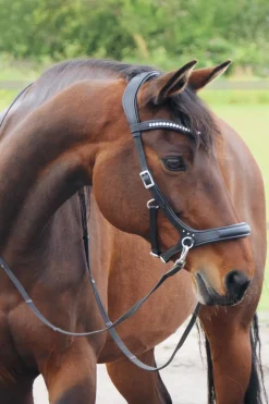 Rebecca Sidepull mit Zügeln (System 3)