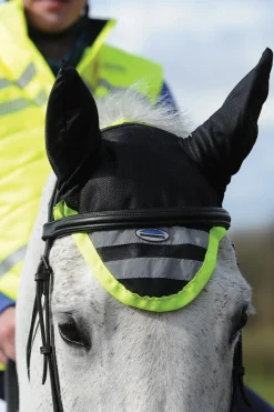 reflektierende Fliegenhaube