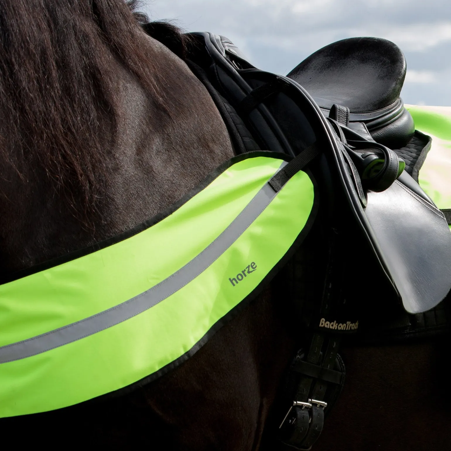 Reflektierender Brustgurt