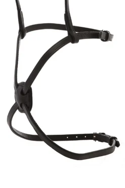 Reithalfter mexikanisch