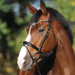 Reyna KavalSH4 Trense
