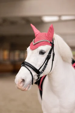 Rising Star Fliegenhaube