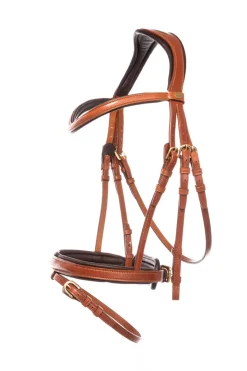 Robin Englische Trense