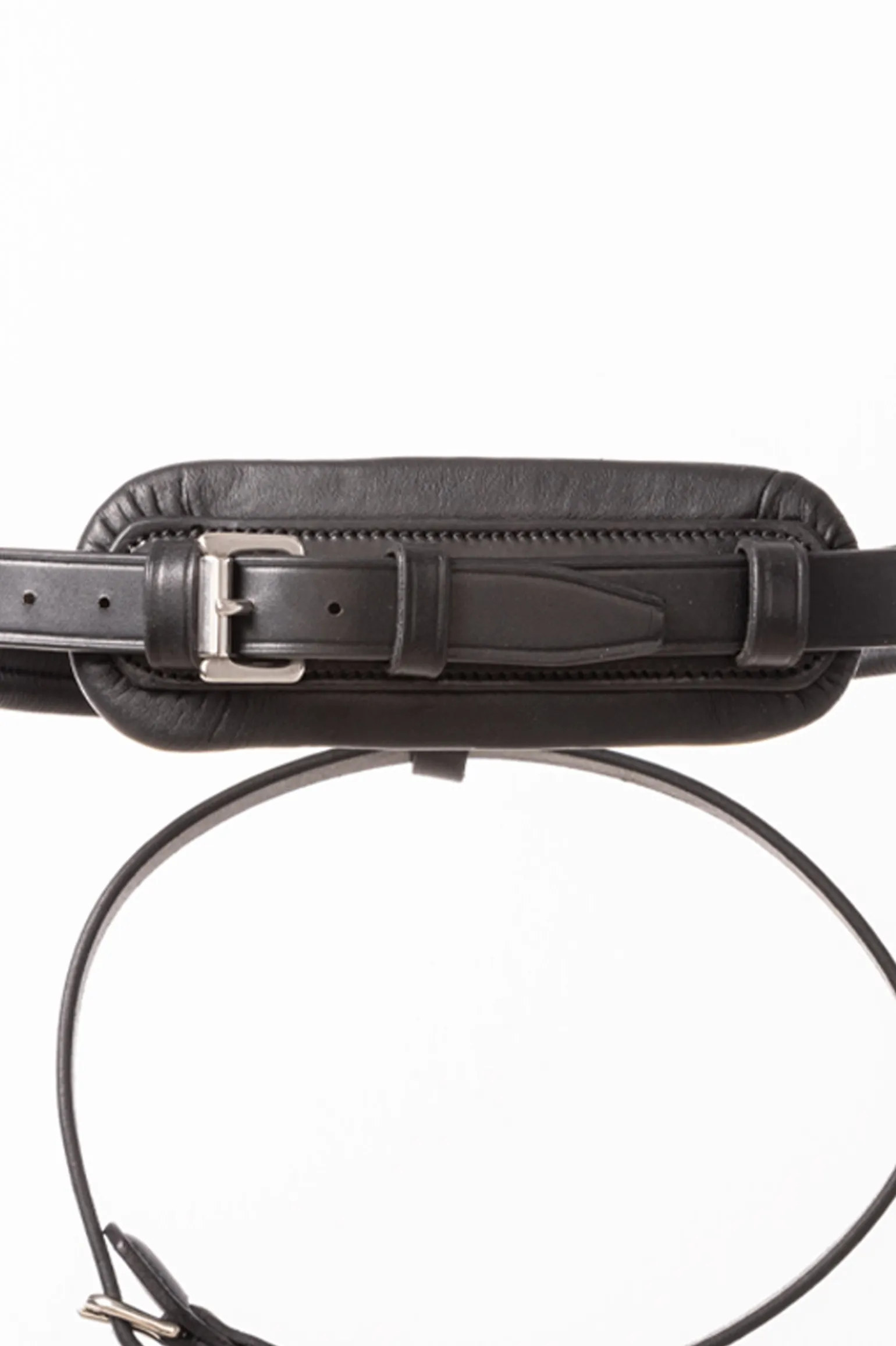 Robin Englische Trense