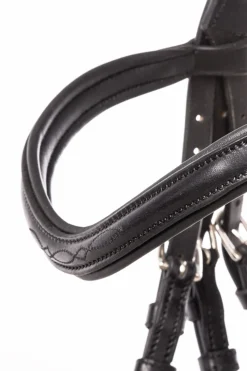 Robin Englische Trense