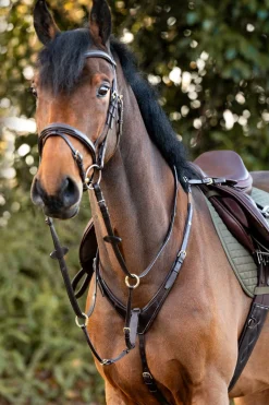 Robin 3-Punkt Brustblatt mit Elastik