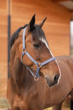 Rose Tonique Halfter