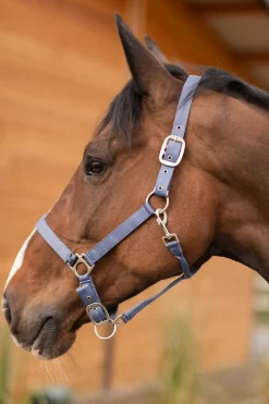 Rose Tonique Halfter