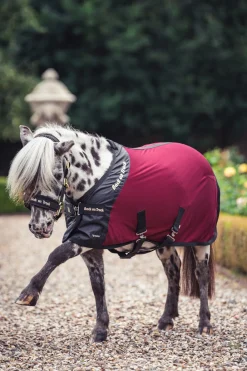 Royal Pony Netzdecke Deluxe