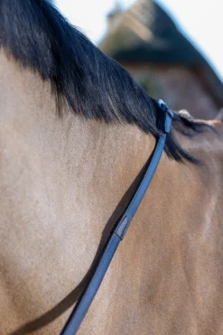 Rubber Grip Gummizügel