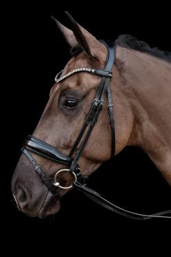 Schockemöhle Siena Trense