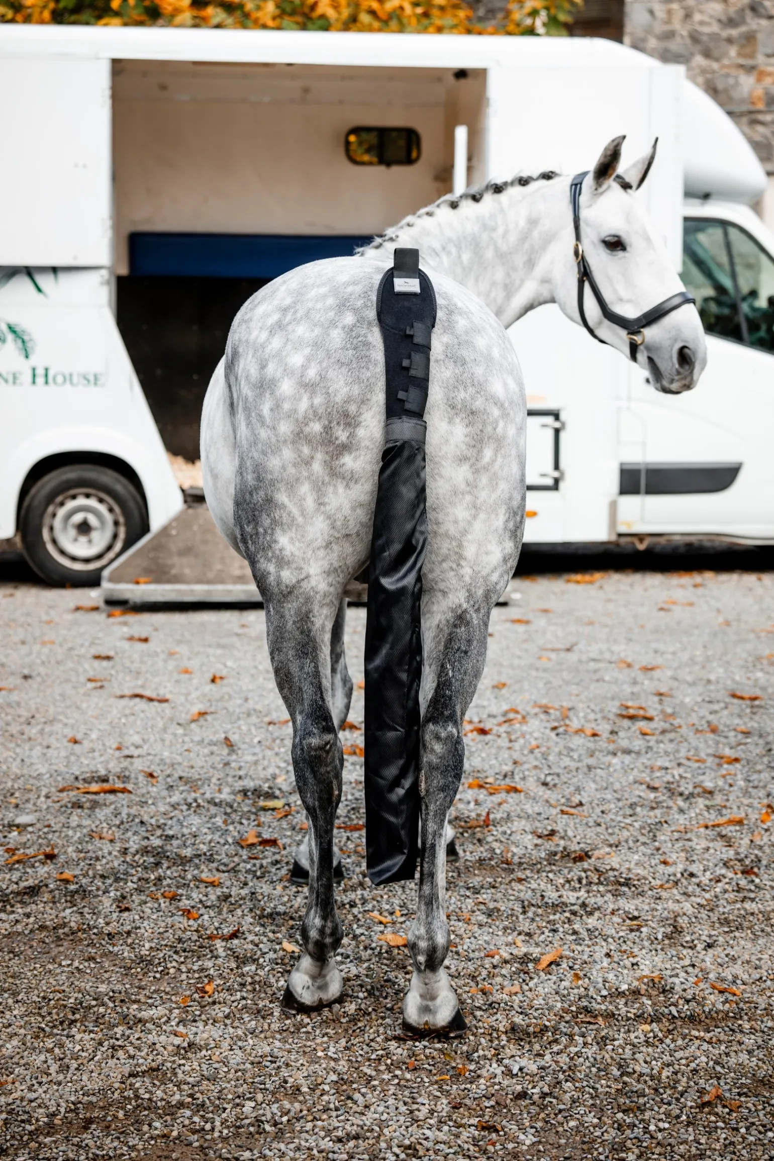 Schweifschutz mit Tasche