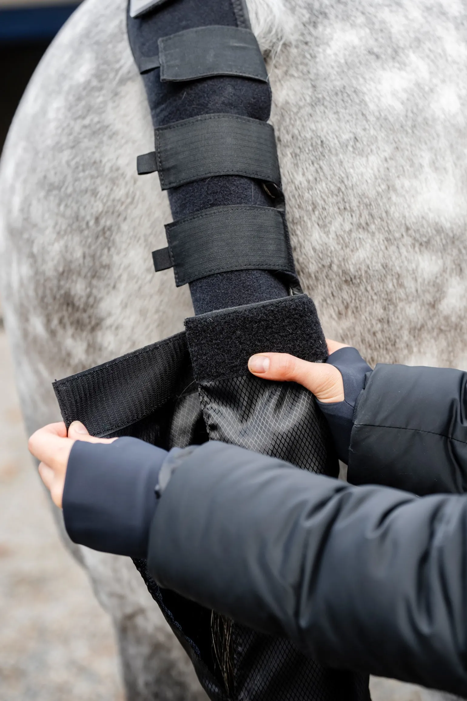 Schweifschutz mit Tasche