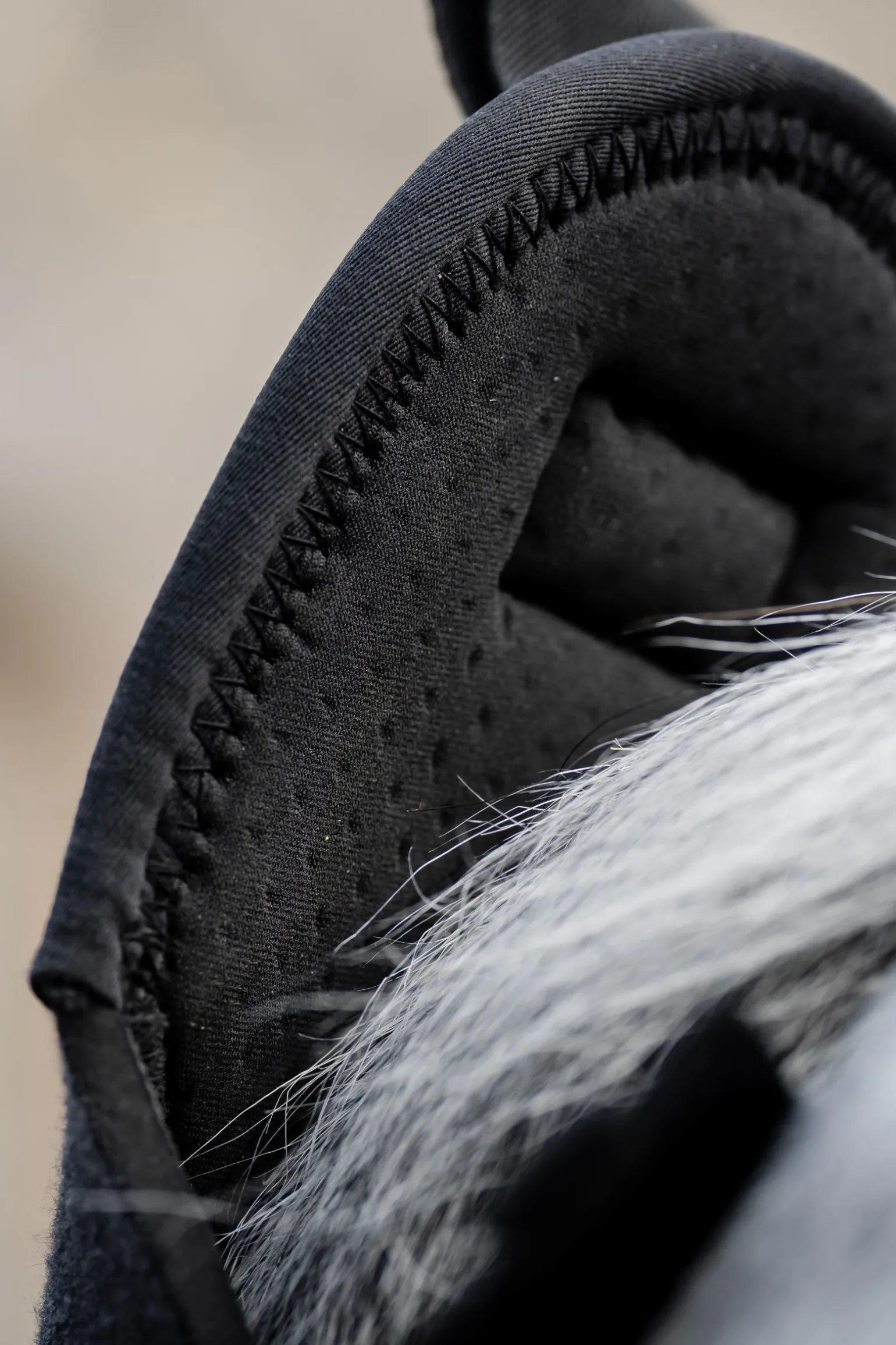 Schweifschutz mit Tasche