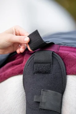 Schweifschutz mit Tasche