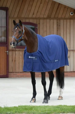 Shamrock Power Decke