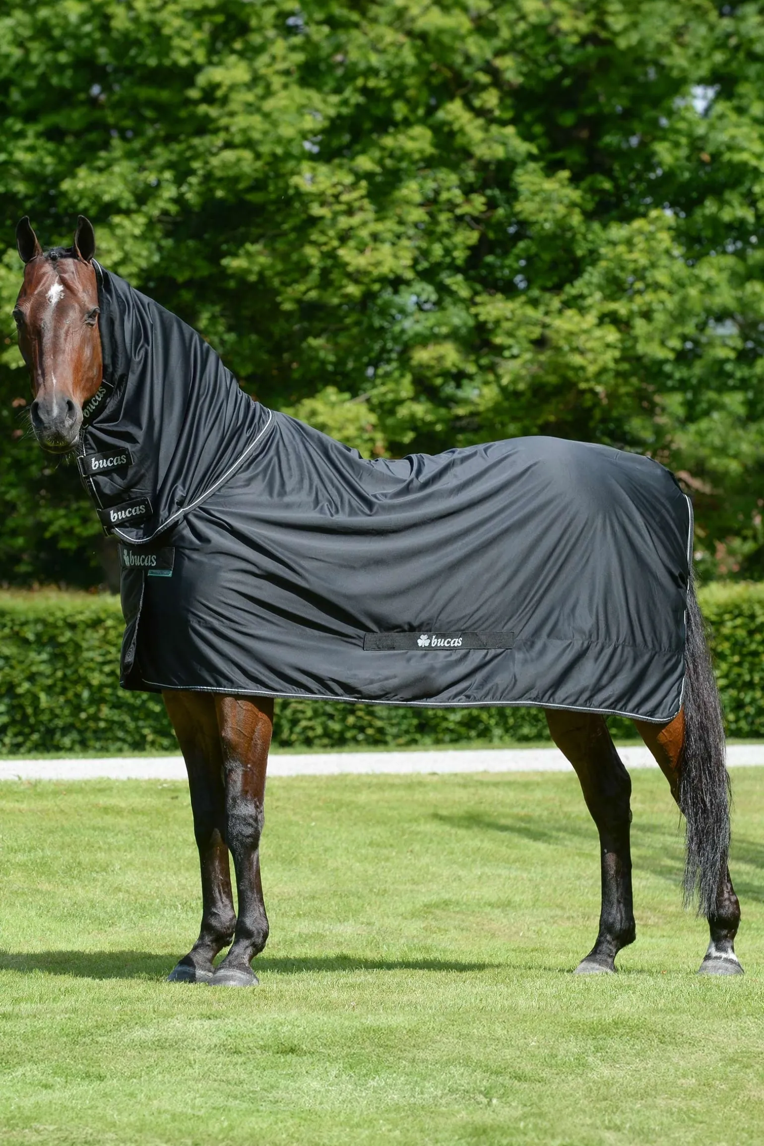 Shamrock Power Decke mit Halsteil