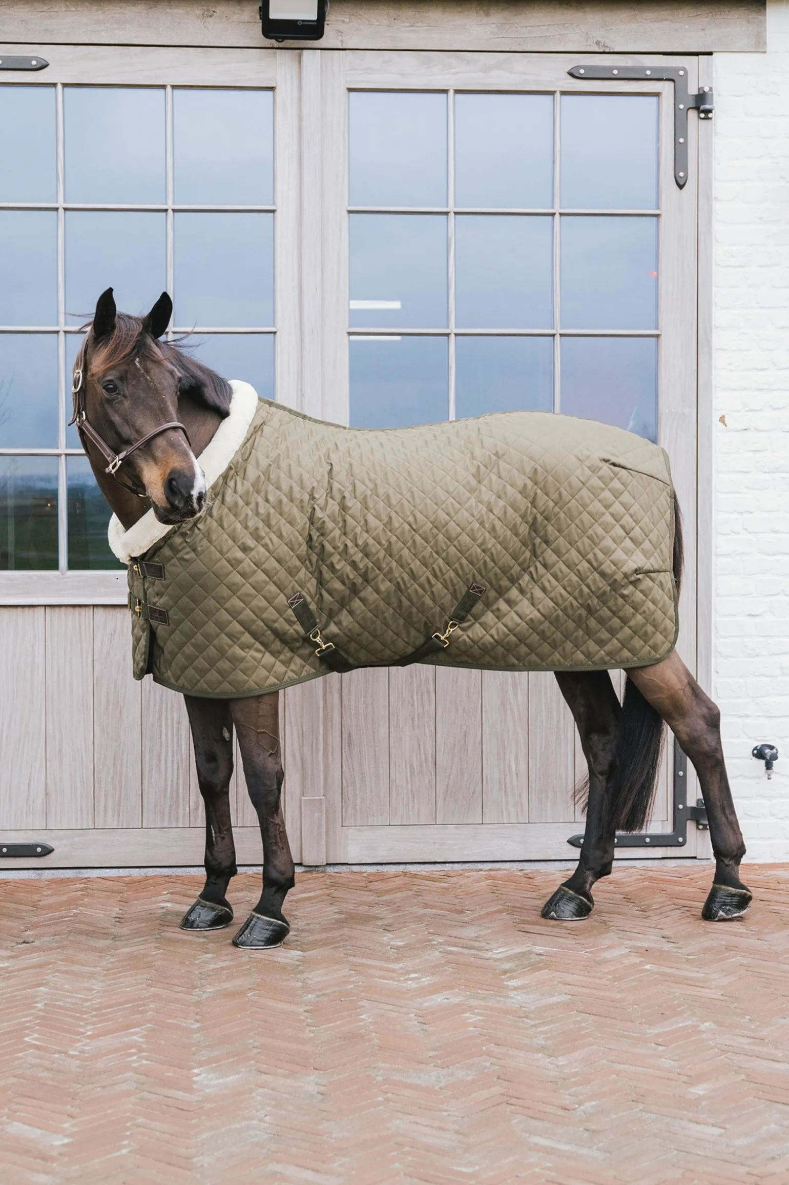 Show Rug Turnierdecke, 160g