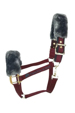 Show-Line Halter