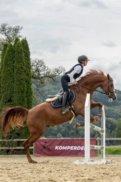 Sicherheitsweste Ultra Fit