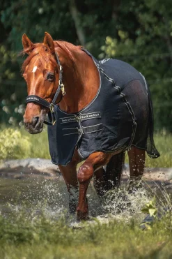 Sienna Abschwitzdecke