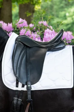 Signature Dressurschabracke