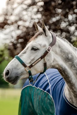 Signature geflochtenes Halfter