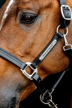 Signature Lederhalfter