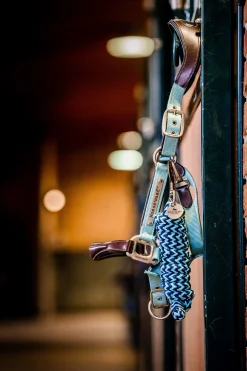 Signature Show Halfter