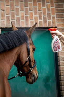 Silkcare Striegel 550ml